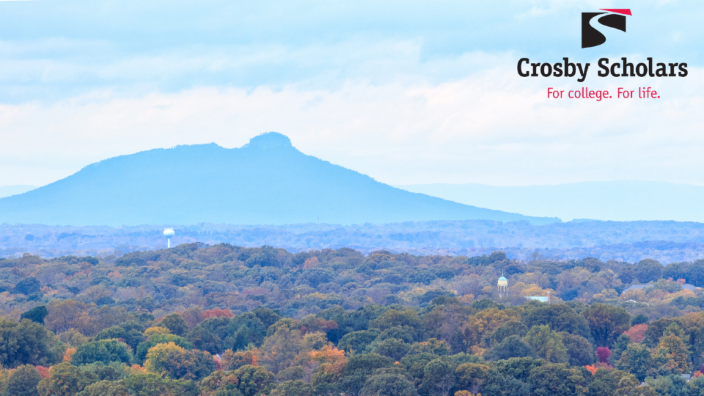 Zoom Virtual Background_Pilot Mountain